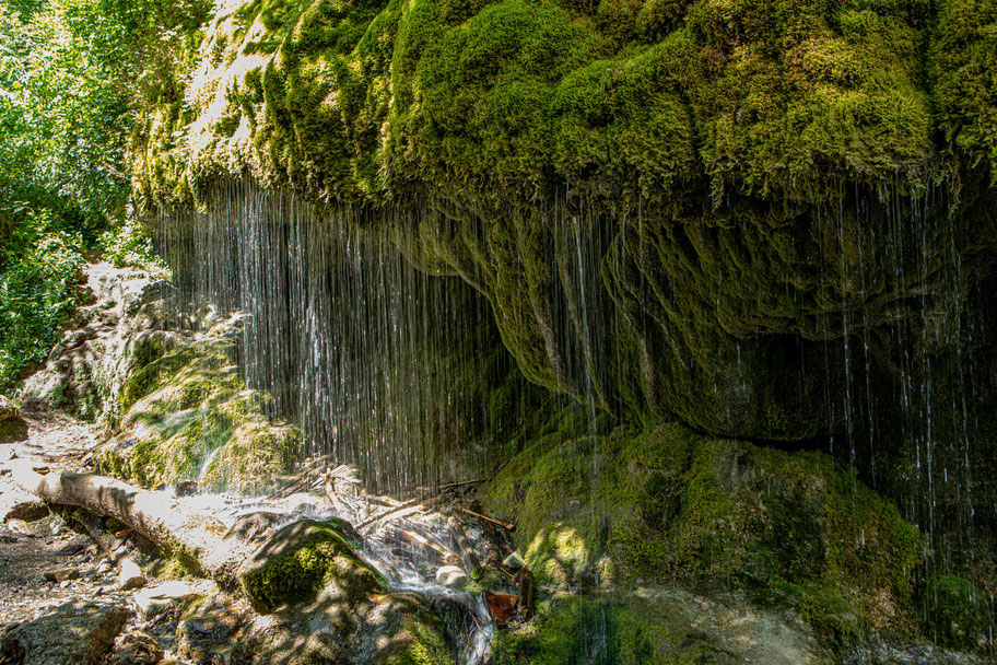 wutachschlucht-camping-mit-hund-schwarzwald-wandern-mit-_004 Canis Road Reiseführer - Wutachschlucht - Wandern mit Hund im Schwarzwald