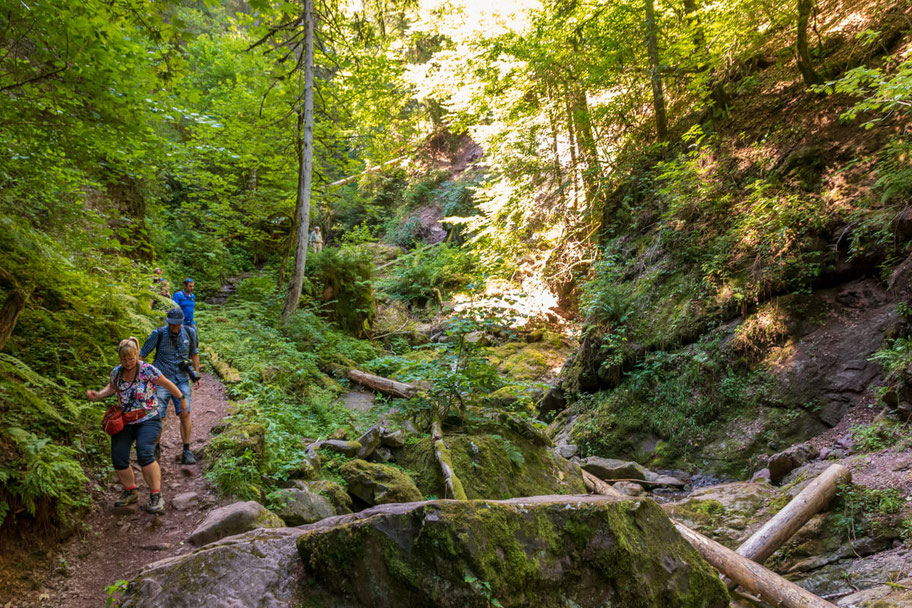 wutachschlucht-camping-mit-hund-schwarzwald-wandern-mit-_005 Canis Road Reiseführer - Wutachschlucht - Wandern mit Hund im Schwarzwald