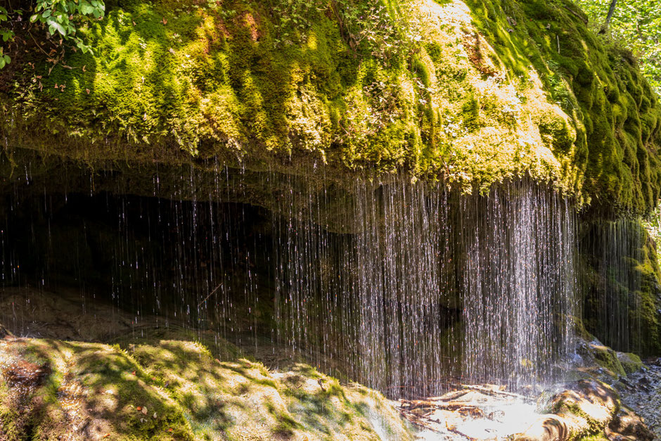 wutachschlucht-camping-mit-hund-schwarzwald-wandern-mit-_020 Canis Road Reiseführer - Wutachschlucht - Wandern mit Hund im Schwarzwald