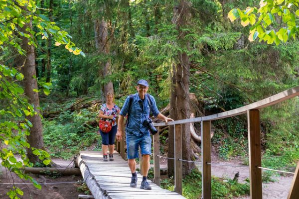 Canis Road Reiseführer - Wutachschlucht - Wandern mit Hund im Schwarzwald