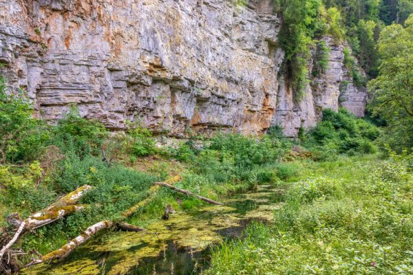 Canis Road Reiseführer - Wutachschlucht - Wandern mit Hund im Schwarzwald