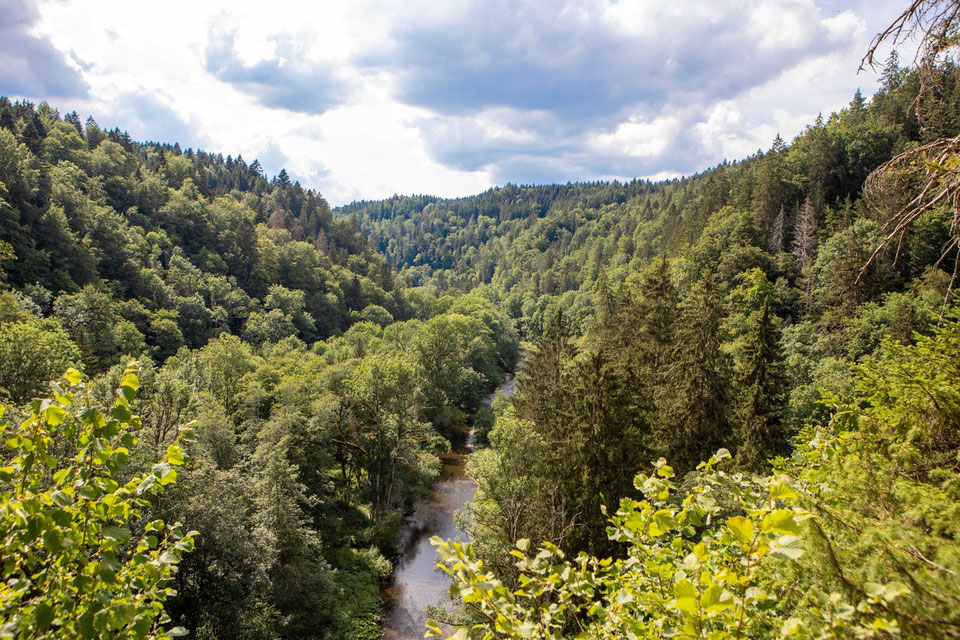 wutachschlucht-camping-mit-hund-schwarzwald-wandern-mit-_045 Canis Road Reiseführer - Wutachschlucht - Wandern mit Hund im Schwarzwald