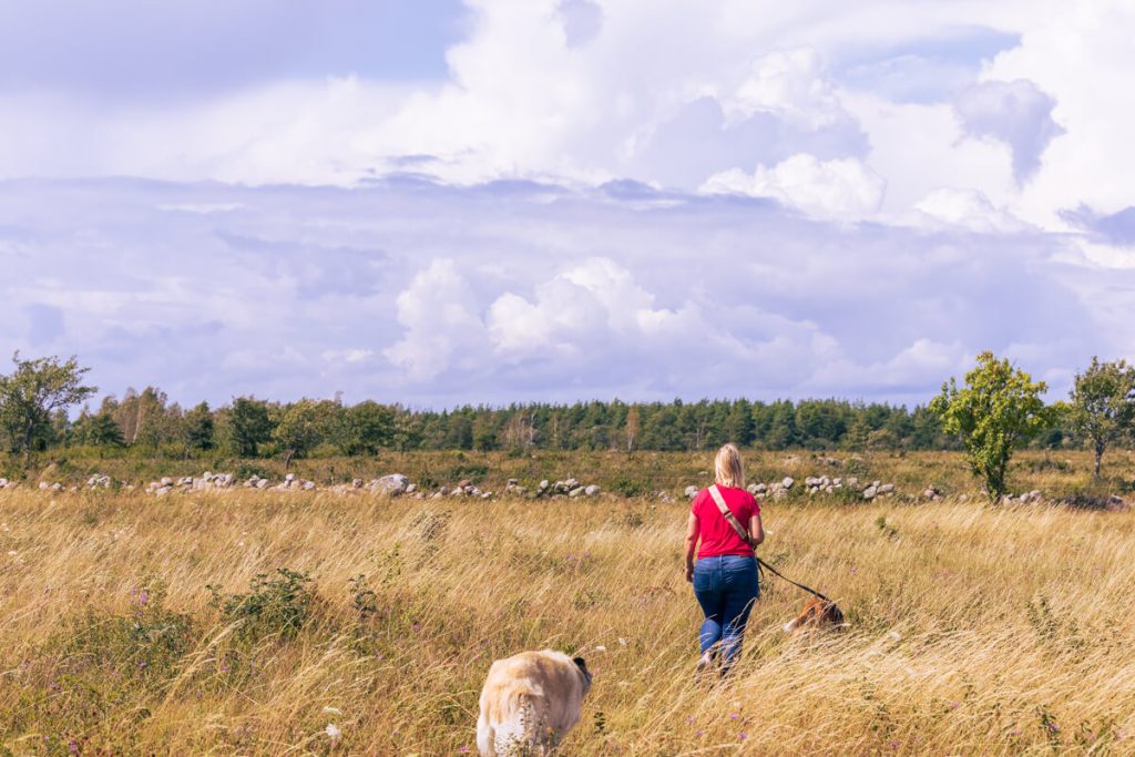 BX7A6359 Schweden mit dem Hund