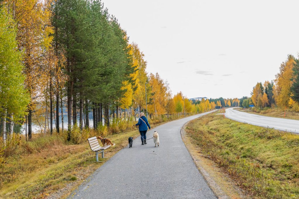 BX7A7572 Schweden mit dem Hund