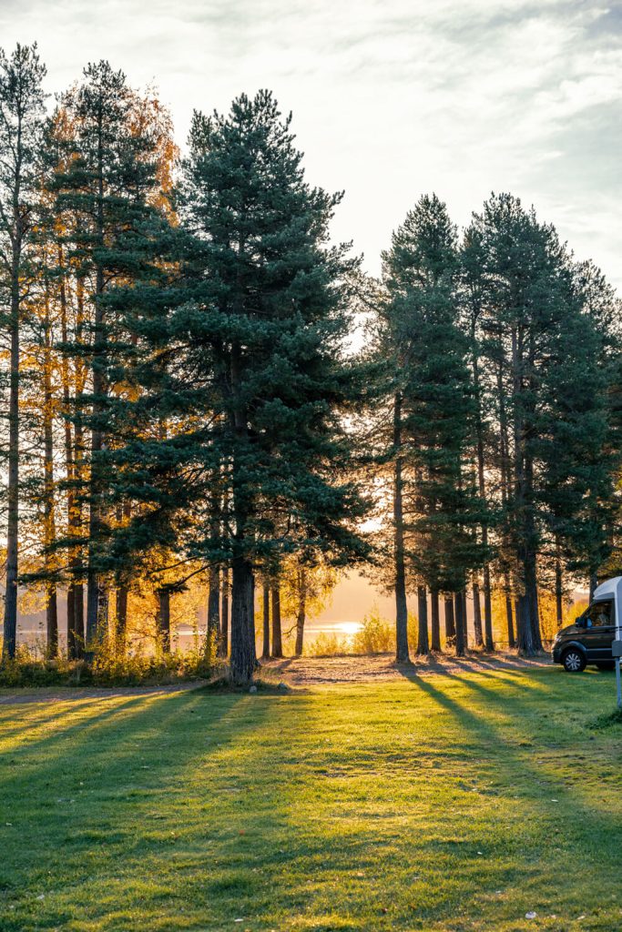 BX7A7890 Schweden mit dem Hund