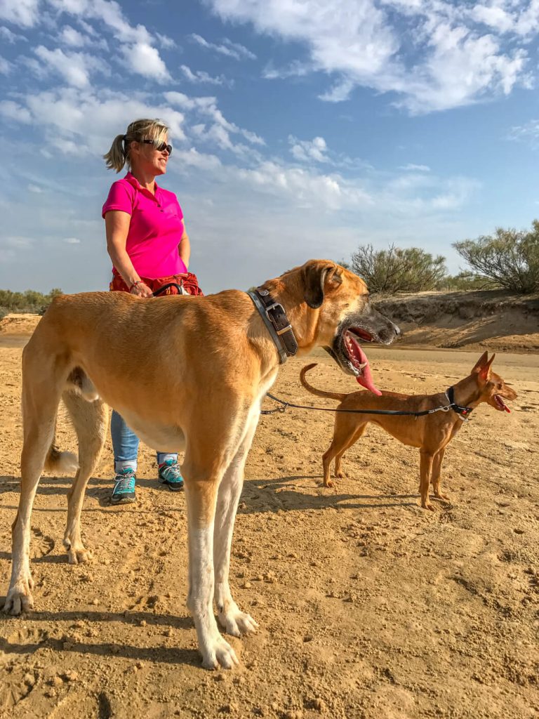 Frau steht mit einem großen und einem kleinen Hund in Portugal an einem Canis Road Stellplatz