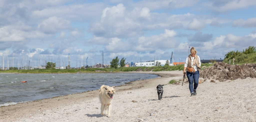 BX7A5587 Schweden mit dem Hund