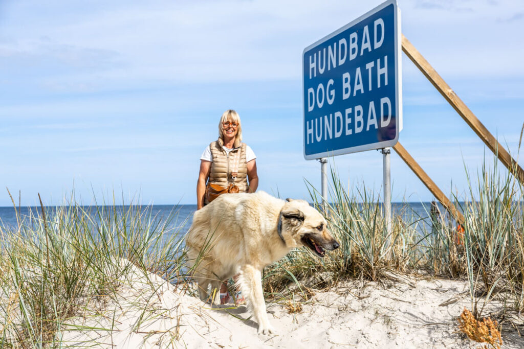 BX7A6586 Schweden mit dem Hund