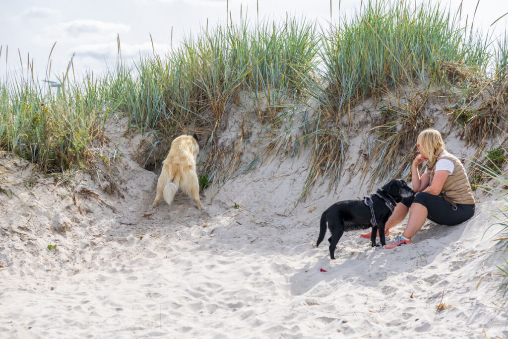 BX7A6604 Schweden mit dem Hund