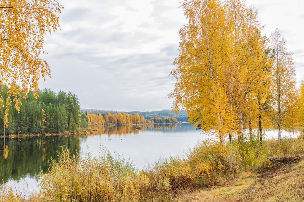BX7A7573 Schweden mit dem Wohnmobil, Polarlichter, Aurora borealis
