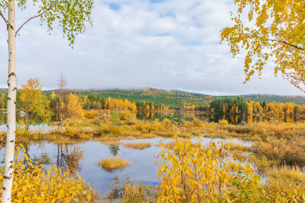 BX7A7586 svg+xml;charset=utf