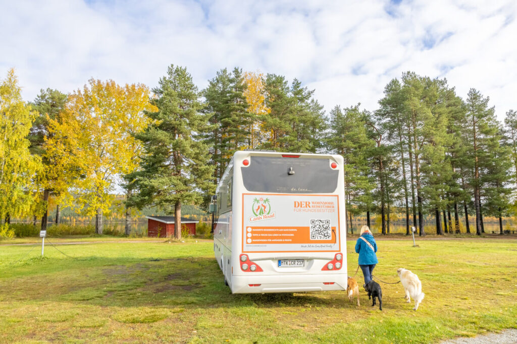 BX7A7616 svg+xml;charset=utf