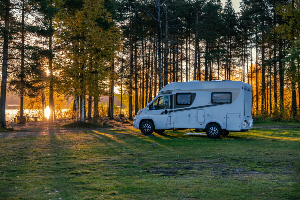 BX7A7879 svg+xml;charset=utf