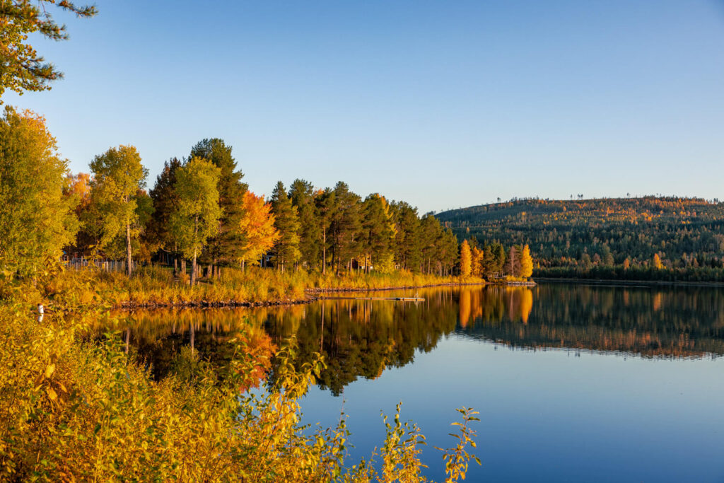 BX7A7884 svg+xml;charset=utf