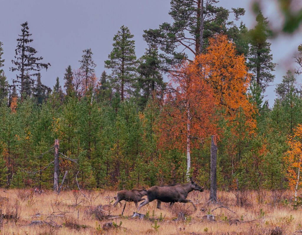 BX7A7945 svg+xml;charset=utf