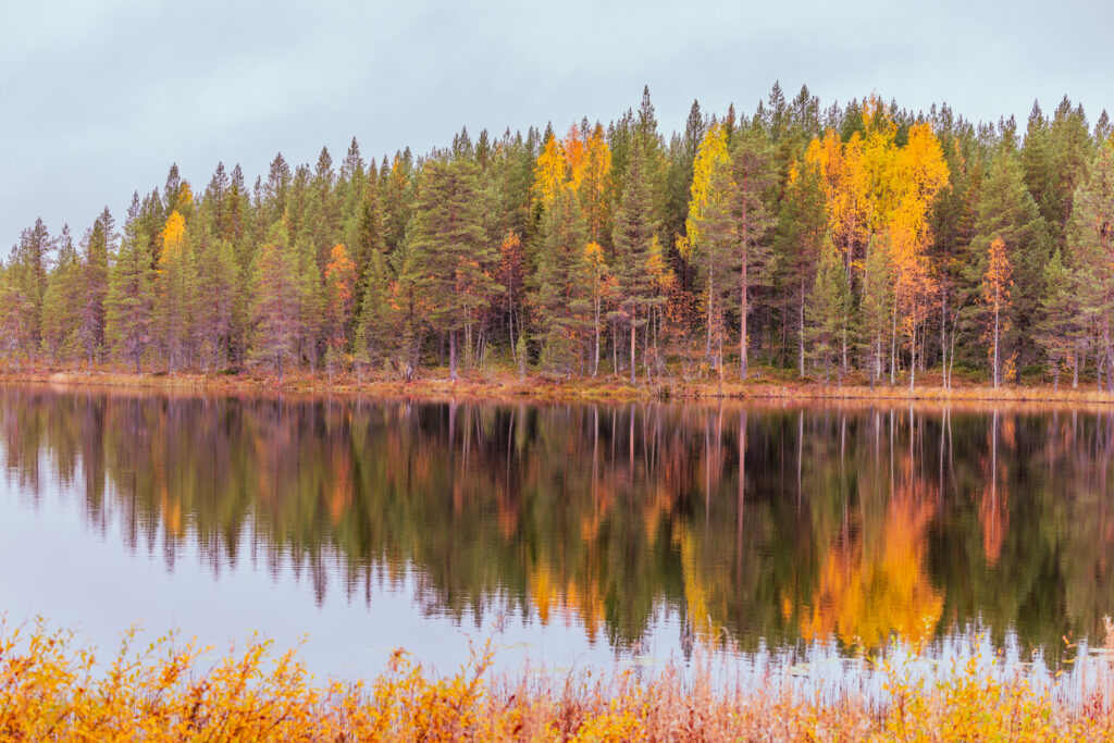 BX7A7952 svg+xml;charset=utf