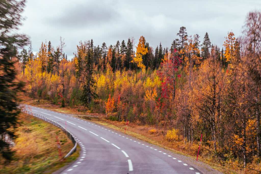 BX7A8049 svg+xml;charset=utf