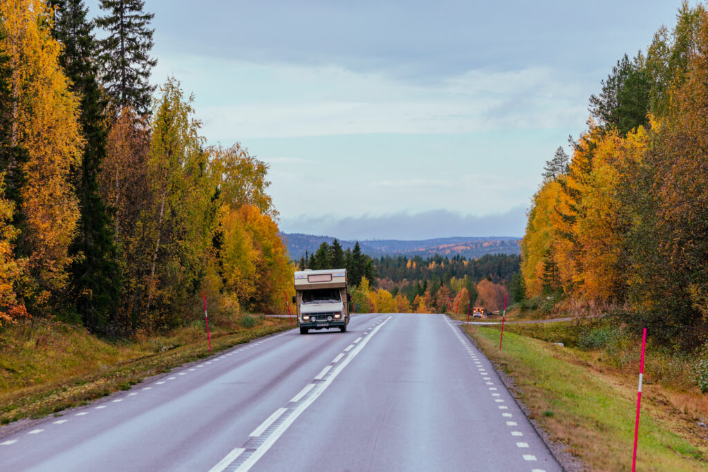 BX7A8085 svg+xml;charset=utf