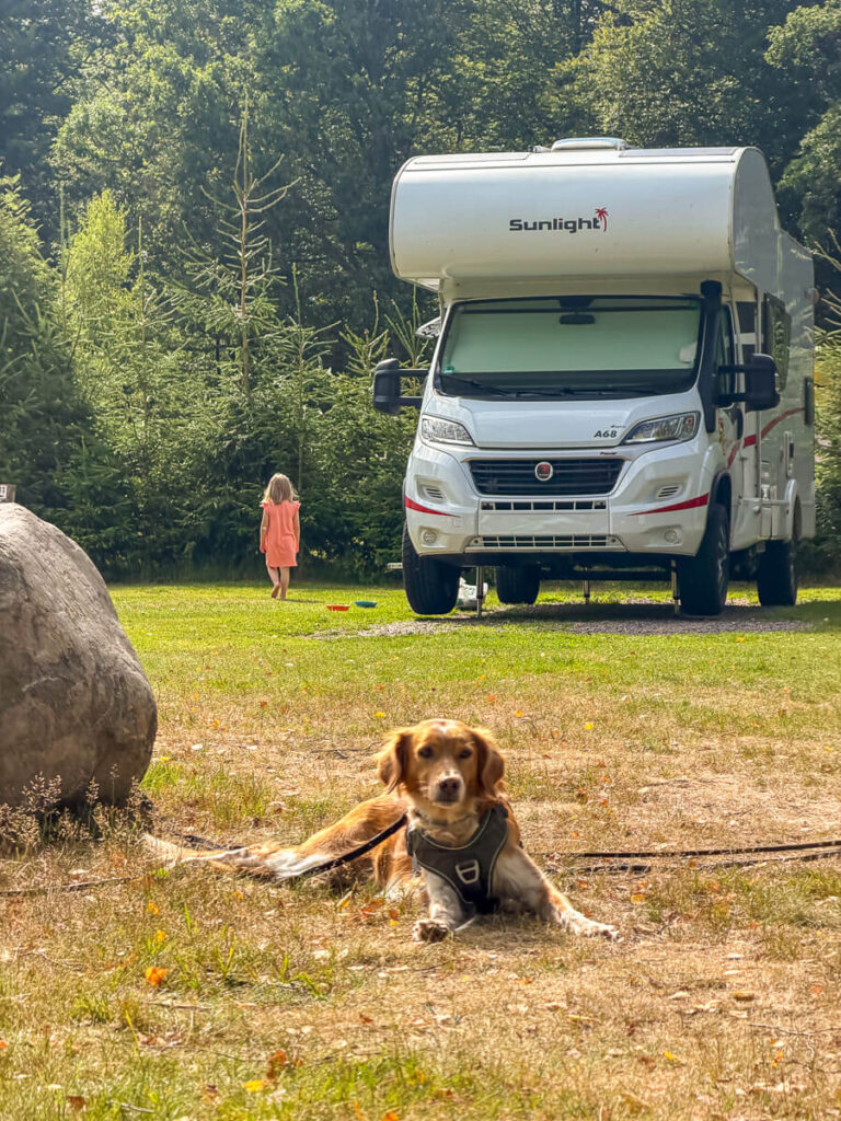 IMG_1947 Schweden mit dem Wohnmobil, Camping mit Hund, Wohnmobil mit Hund, Schweden Camper, Vanlife Schweden