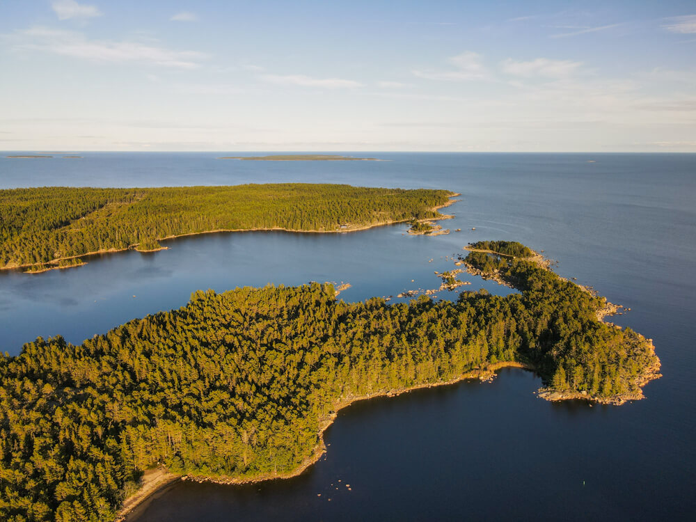 dji_fly_20230903_180012_117_1693756852628_photo svg+xml;charset=utf