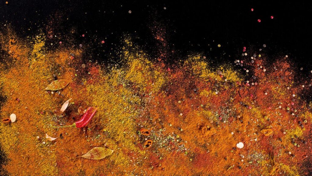 Hundefutter selbst machen Kochen im Wohnmobil, veganes curry, cadac citi chef, canis road