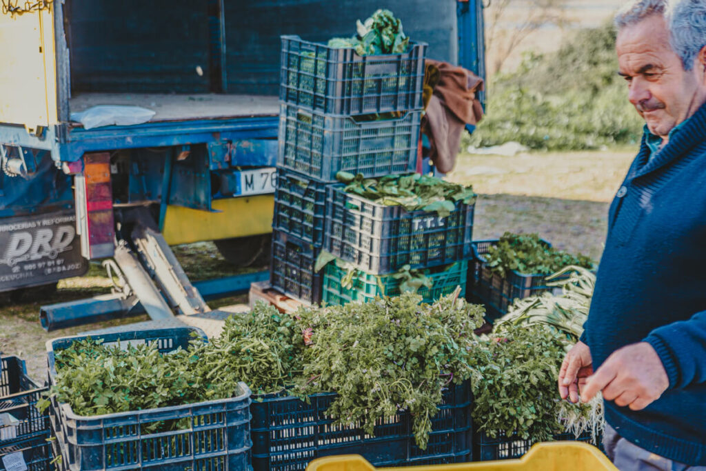 BX7A9977 svg+xml;charset=utf