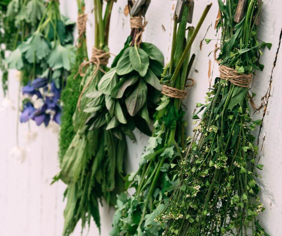 ec Kräuter, Salat, Körniger Frischkäse Salat Rezept