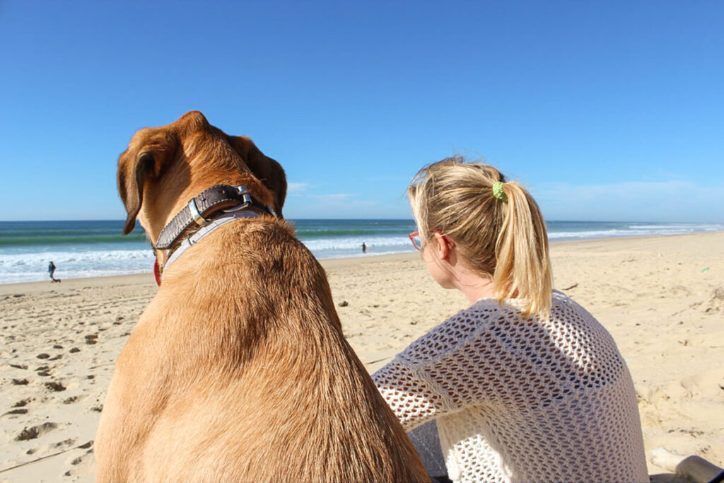 1 Wohnmobil mit Hund in Frankreich, Frankreich Camper, Wohnmobilstellplätz Frankreich, Camping mit Hund Frankreich