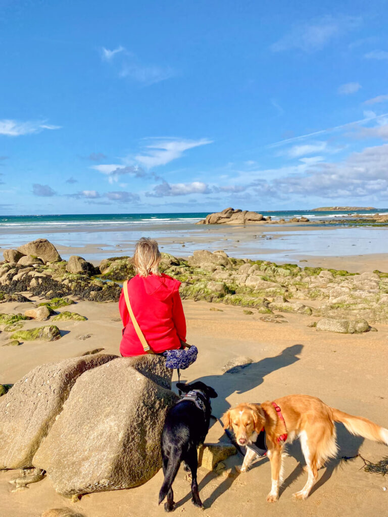 IMG_5291 Wohnmobil mit Hund in Frankreich, Frankreich Camper, Wohnmobilstellplätz Frankreich, Camping mit Hund Frankreich