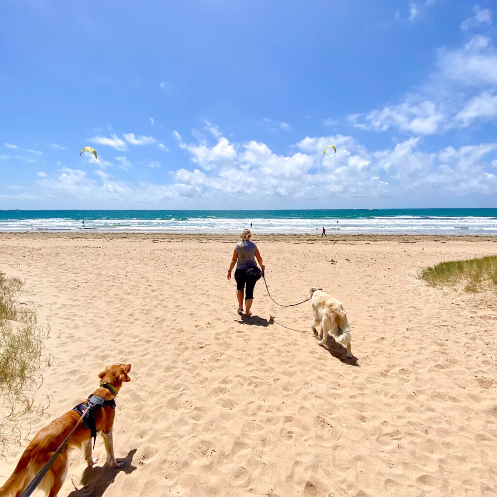 IMG_6051 Wohnmobil mit Hund in Frankreich, Frankreich Camper, Wohnmobilstellplätz Frankreich, Camping mit Hund Frankreich