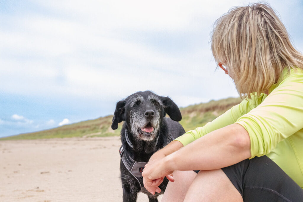 IMG_9701 svg+xml;charset=utf