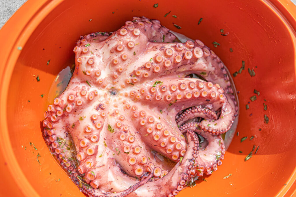 BX7A0412 Oktopus vom Grill Rezept