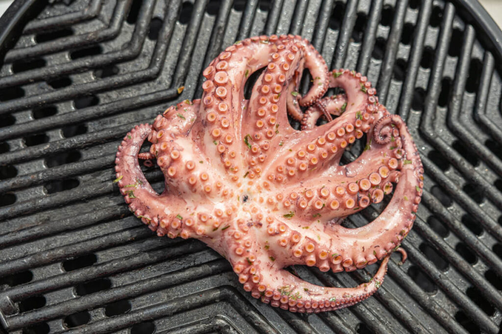 BX7A0418 Oktopus vom Grill Rezept