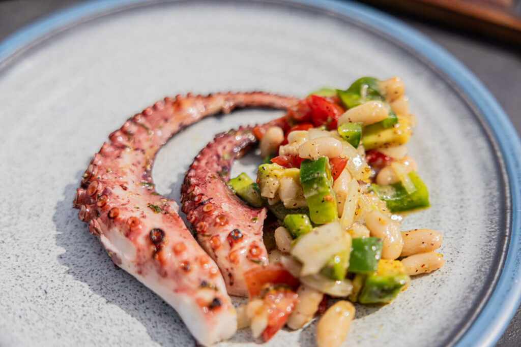 Hundefutter selbst machen Oktopus vom Grill Rezept