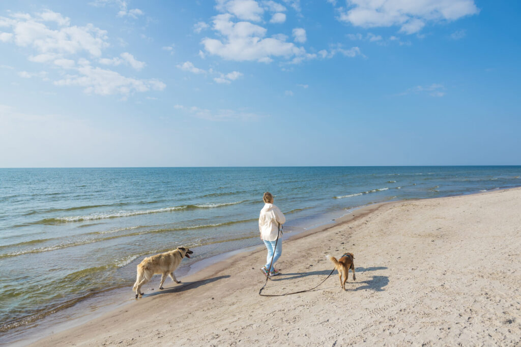 BX7A6871 svg+xml;charset=utf