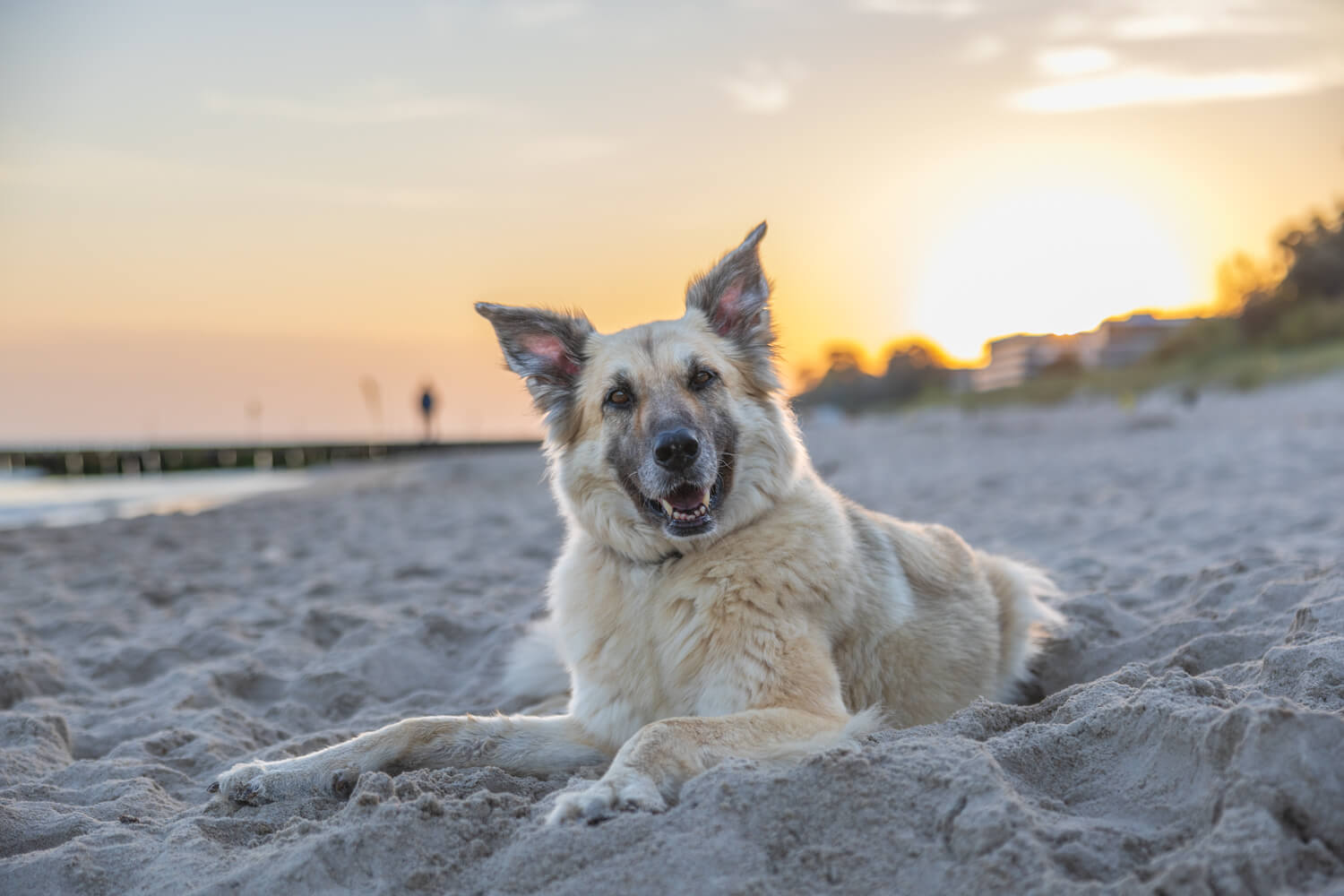 Camping in Polen – 10 spannende Tipps Camping Polen mit Hund, Camping Polen Ostesee, Camping Masuren