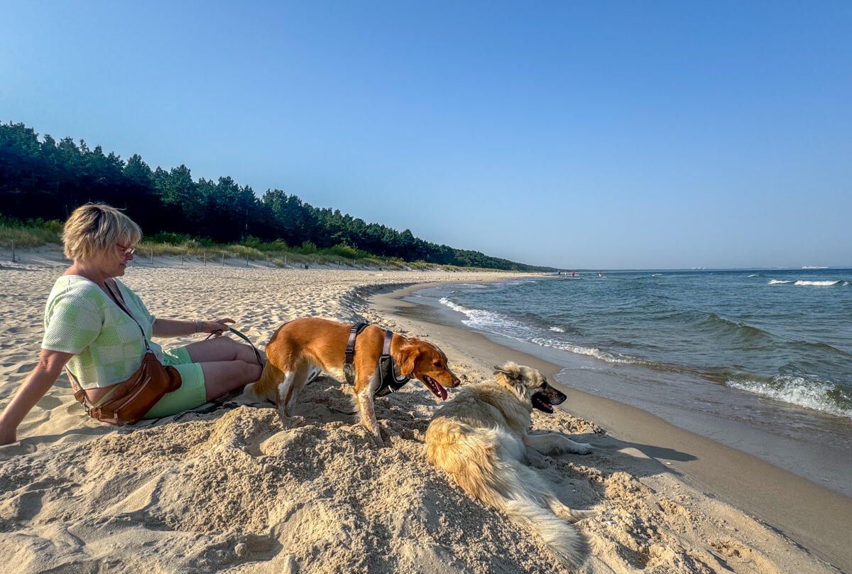 Camping in Polen – 10 spannende Tipps Ostsee polen mit hund am strand, camping in Polen, polen ostsee camping