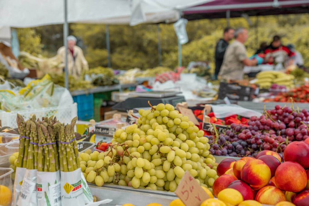 BX7A0521 svg+xml;charset=utf