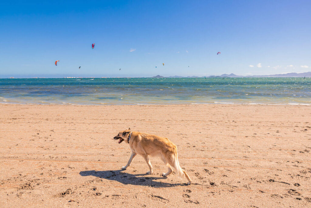 BX7A0588 svg+xml;charset=utf