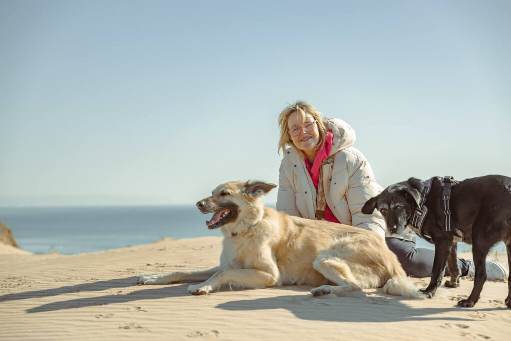 BX7A2019 Der Wohnmobil Reiseführer für hundebesitzer, camping mit hund