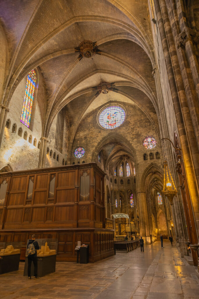 BX7A2264 svg+xml;charset=utf