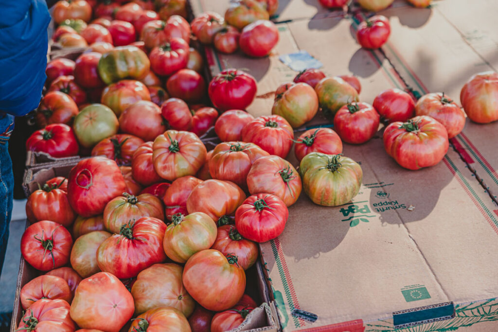 BX7A9973 spanien mit dem wohnmobil, camping mit hund spanien, campingplatz spanien meer