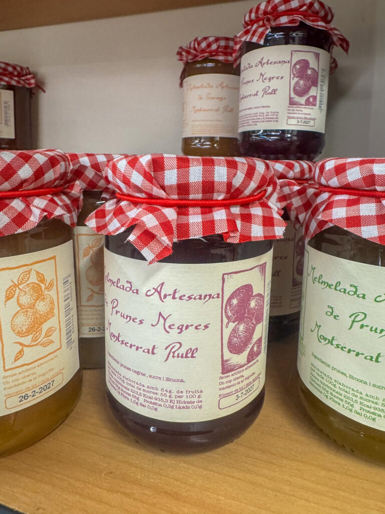 IMG_7605 spanien mit dem wohnmobil, camping mit hund spanien, campingplatz spanien meer