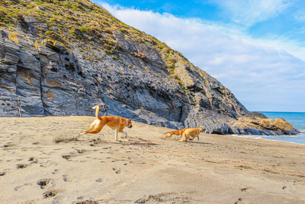 IMG_8680 Camping mit Hund in Spanien, Spanien mit dem Wohnmobil, Campingplatz Spanien Meer