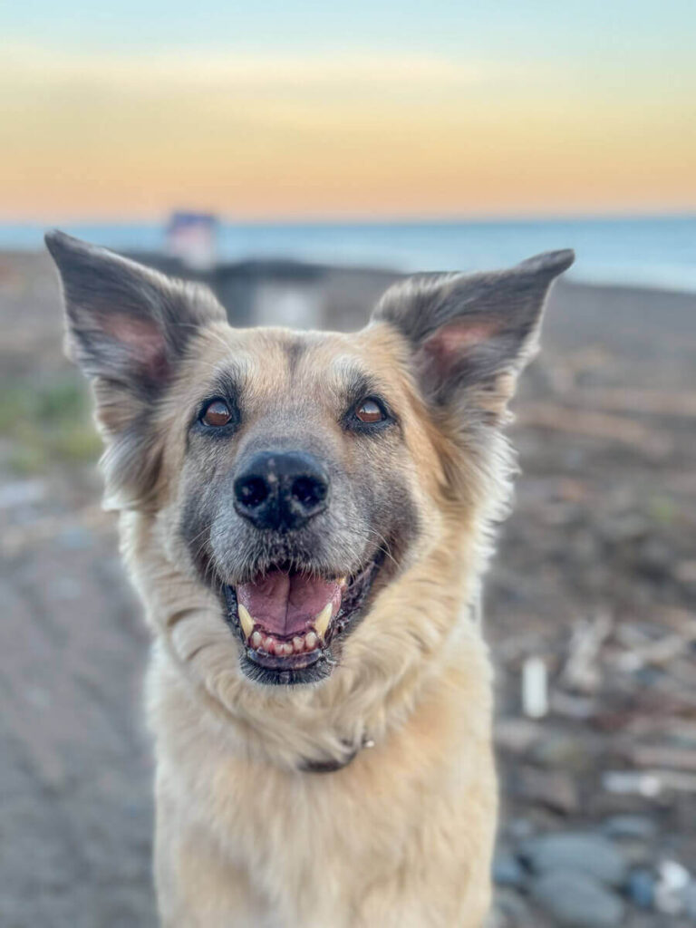 IMG_9795 spanien mit dem wohnmobil, camping mit hund spanien, campingplatz spanien meer