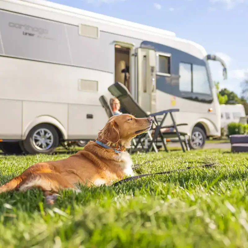 Canis Road Pakete Der Wohnmobil Reiseführer für hundebesitzer, camping mit hund, die besten Wohnmobil stellplätz für hunde