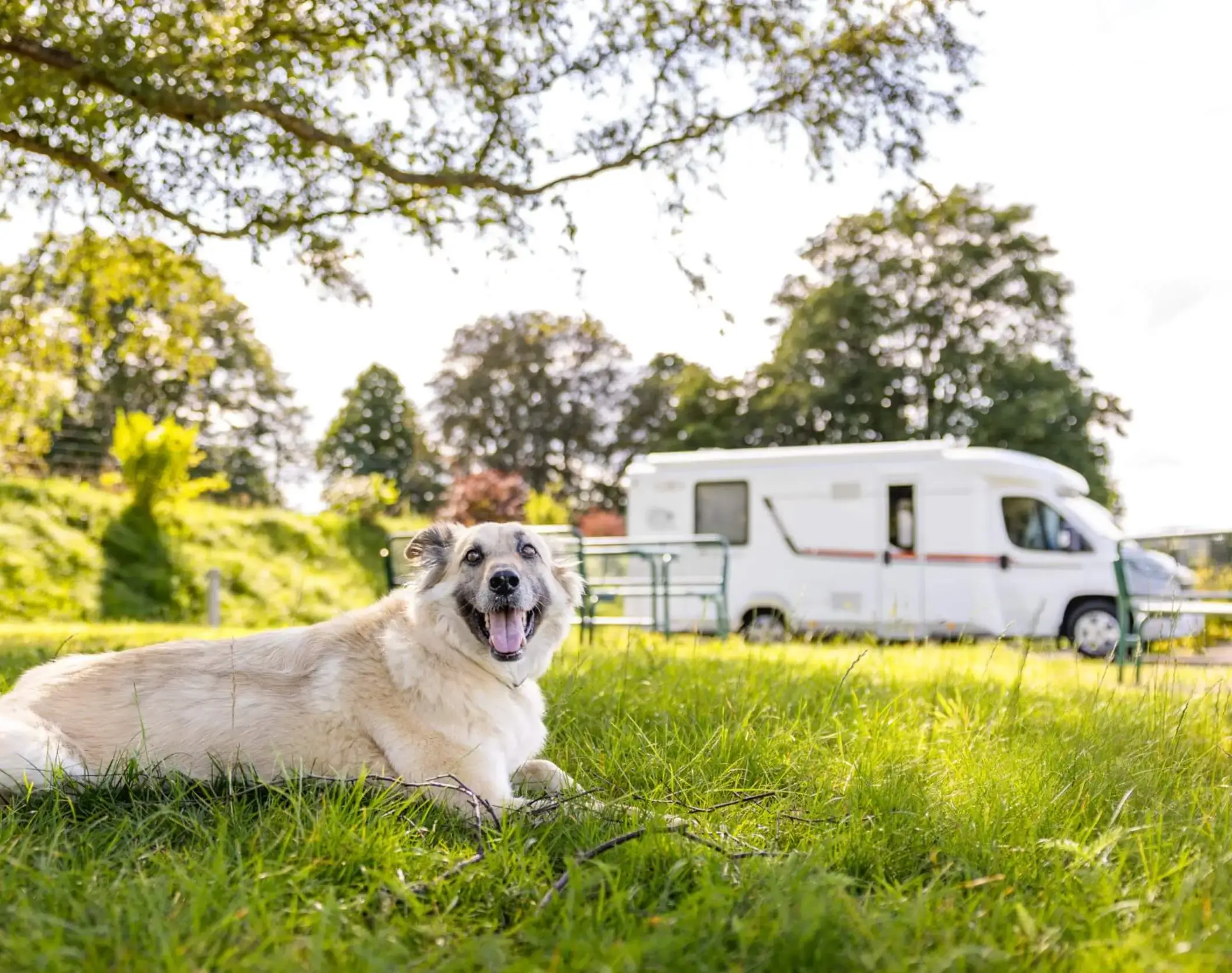 Kürbis mit Kartoffeln an Kokoscreme Sauce Der Wohnmobil Reiseführer für hundebesitzer, camping mit hund, die besten Wohnmobil stellplätz für hunde