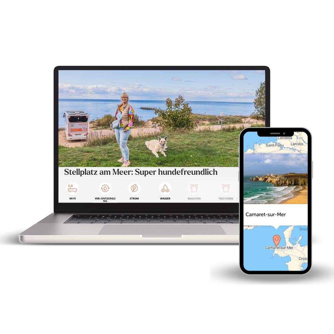 Canis Road Pakete svg+xml;charset=utf