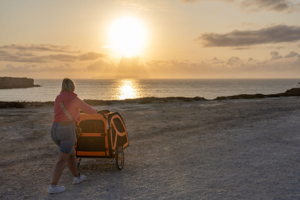 BX7A3039 Hundebuggy, Dogbus L, Trendpet, Küstenweg