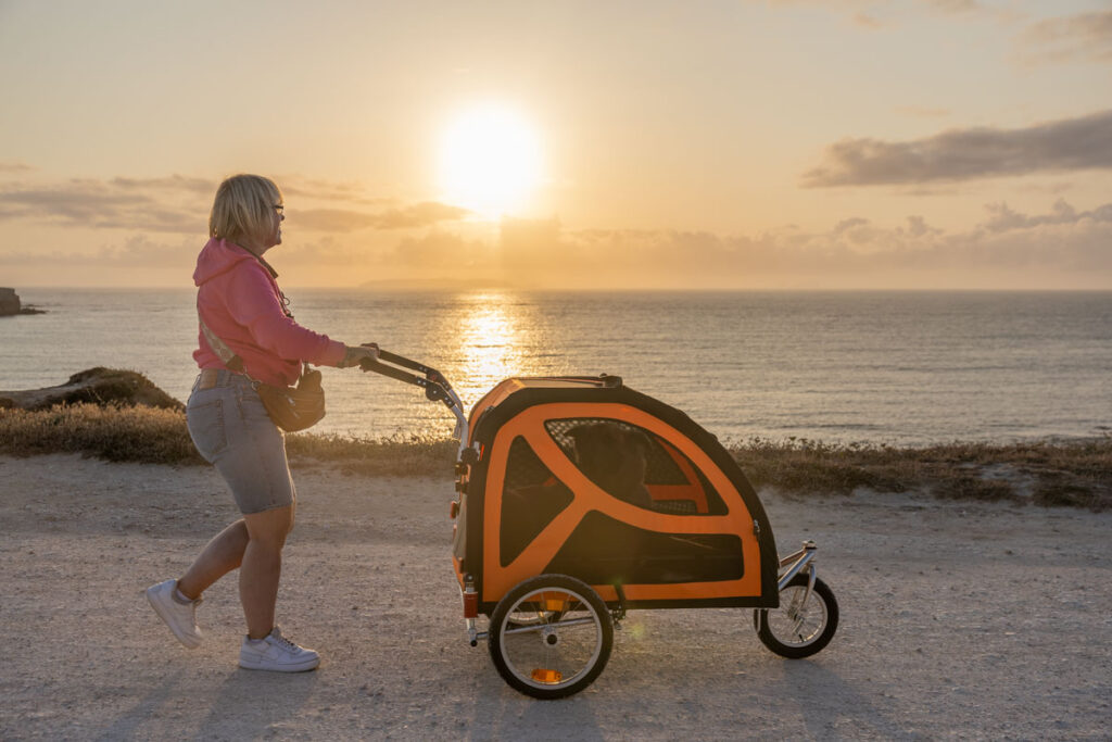 Leben im Wohnmobil Hundebuggy, Dogbus L, Trendpet, Küstenweg